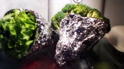 Продукти, които можете да съхранявате по-дълго, отколкото сте смятали 