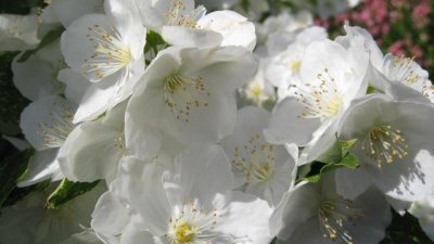 На теб ухая