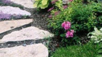 Цветният бордюр създава настроение