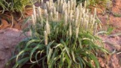 Когато атакуваме причините, се радваме на следствието