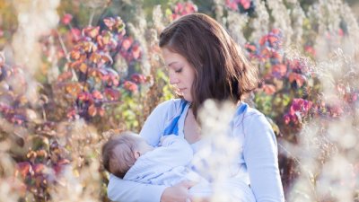 Любопитни факти за кърмата