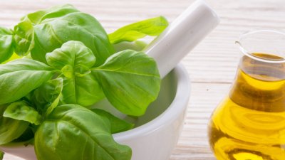 Защо да изберете масло от риган при вирусни инфекции? 