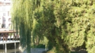 Езерото Ариана отново пълно