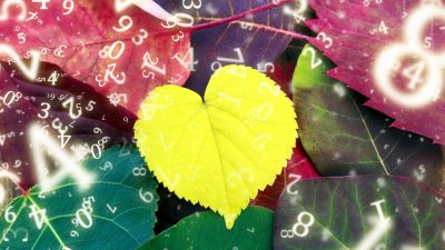 Нумерологична прогноза за 24 ноември