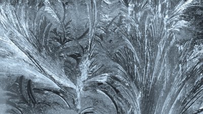 Честит имен ден на Снежа, Снежана и Снежанка 