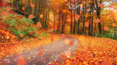 Есента идва с постепенно захлаждане