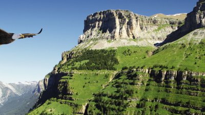 Притча за орлите и силата на любовта