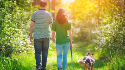 Как разходките в гората подобряват здравето ни