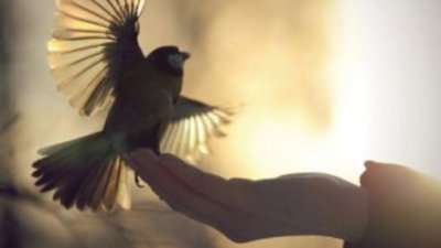 Всяка загуба крие в себе си възможност за ново начало...