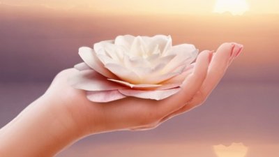 Мисъл на деня за... вътрешния баланс