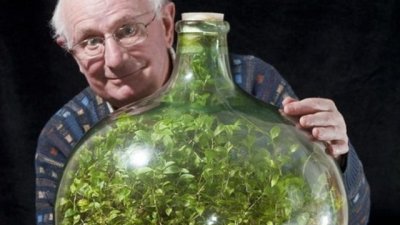 Миниградина в затворена бутилка постави рекорд в градинарството