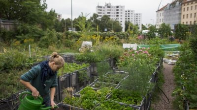 4 думи с „м“ против пролетна умора 