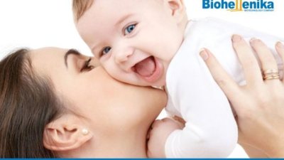 Стволовите клетки – източник на живот