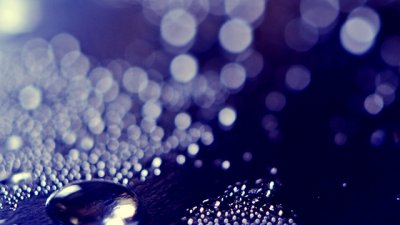 Разказ за неопитността, глупостта, интелектуалната съпротива...