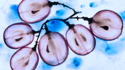 По-красива и здрава кожа с помощта на червено и бяло грозде