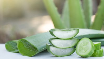 Защо гелът от алое вера е истинско чудо на природата 