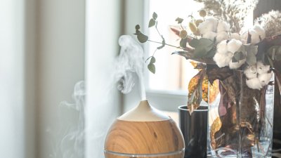 Комбинация от етерични масла за чист въздух в дома