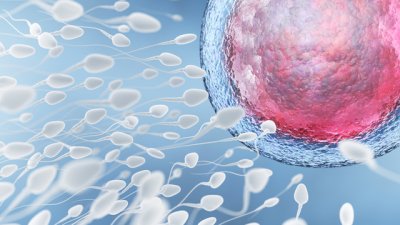 Какво още „живее“ в спермата? 