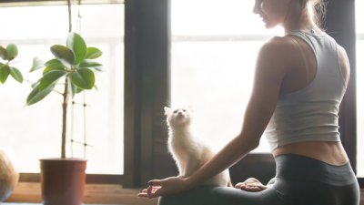 Подредба на помещението за тренировка според фъншуй 