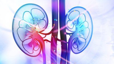 Какво причинява камъни в бъбреците и как да се справим с природни средства?