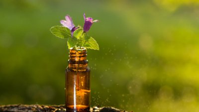 Как да използвате масло от чаено дърво при гъбички по ноктите 