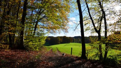 Есенна емоция