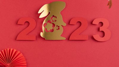 Астрологична прогноза за годината на Черния Воден Заек за всички знаци