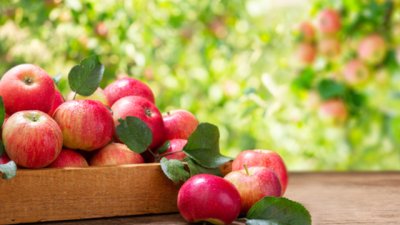 До какво води преяждането с някои храни