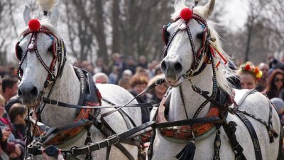Тодоровден е!