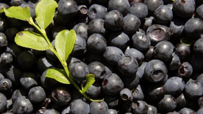 За хубава кожа яжте...