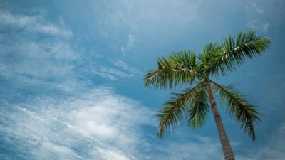 Мисъл на деня за... това, което привличаме