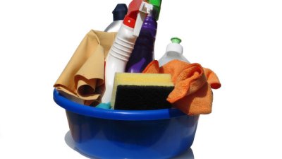 Идеалната домакиня