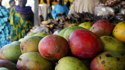 Тропическите плодове – витаминните приятели на зимата