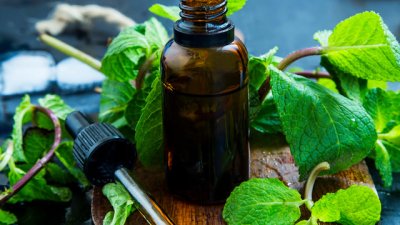 Масло от мента за съживяване на косата и кожата през зимата 