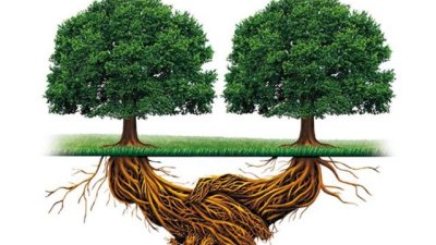 „Интелектът на растенията“ – Стефано Манкузо, Алесандра Виола