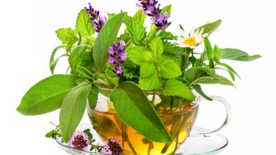 6 билки при стомашни неразположения