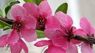 „Обичам те“ между компютъра, бара и леглото