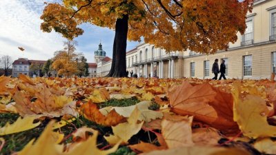 Любовни есенни рими