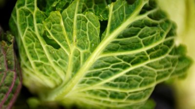 4 важни за организма храни, които пренебрегваме