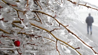 Леденостудена красота – да бъдем здрави и сияйни по празниците