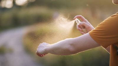 Как да си направим домашен препарат против насекоми 