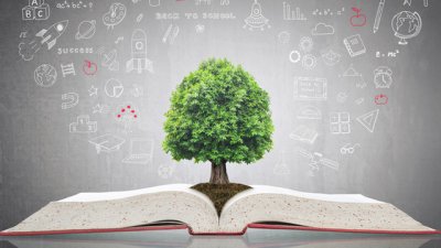 Десетте здравословни заповеди на Пол и Патриша Брег