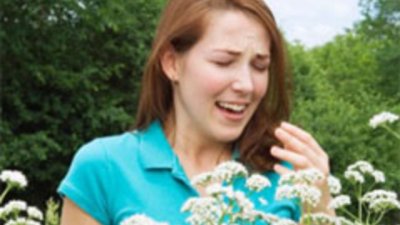 На борба със сенната хрема