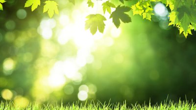 Монголска мъдрост на деня