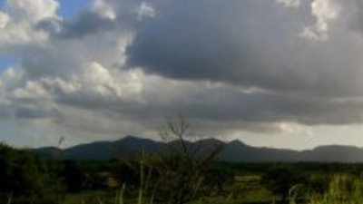 Кошмарите – защо ги сънуваме и как да се справим