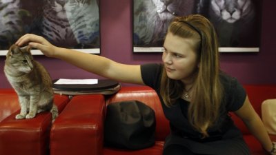 Изложба на котки във Варна на 6 и 7 октомври 2012