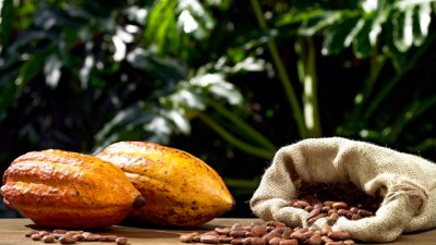 Растения, които са естествени лекарства