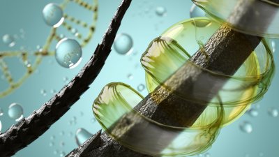 4 витамина, от които косата расте бързо