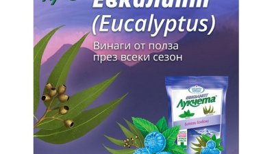 Как да съхраняваме билките в дома си