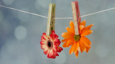 Езикът на цветята в любовта – какво издава един букет?